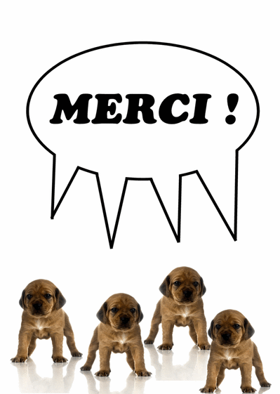 Carte Remerciement De Petits Chiots : Envoyer une Carte 